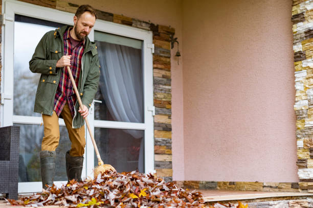 Best Electronics Removal Services  in Dumas, TX